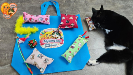 🏆 BESTSELLER | 7-delige Mystery Bag voor Katten 🎁 7 verrassingen waar katten dol op zijn!🐱