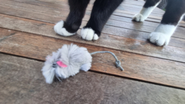 🐭 Grijs muisje met catnip – kleine muis, groot speelplezier!