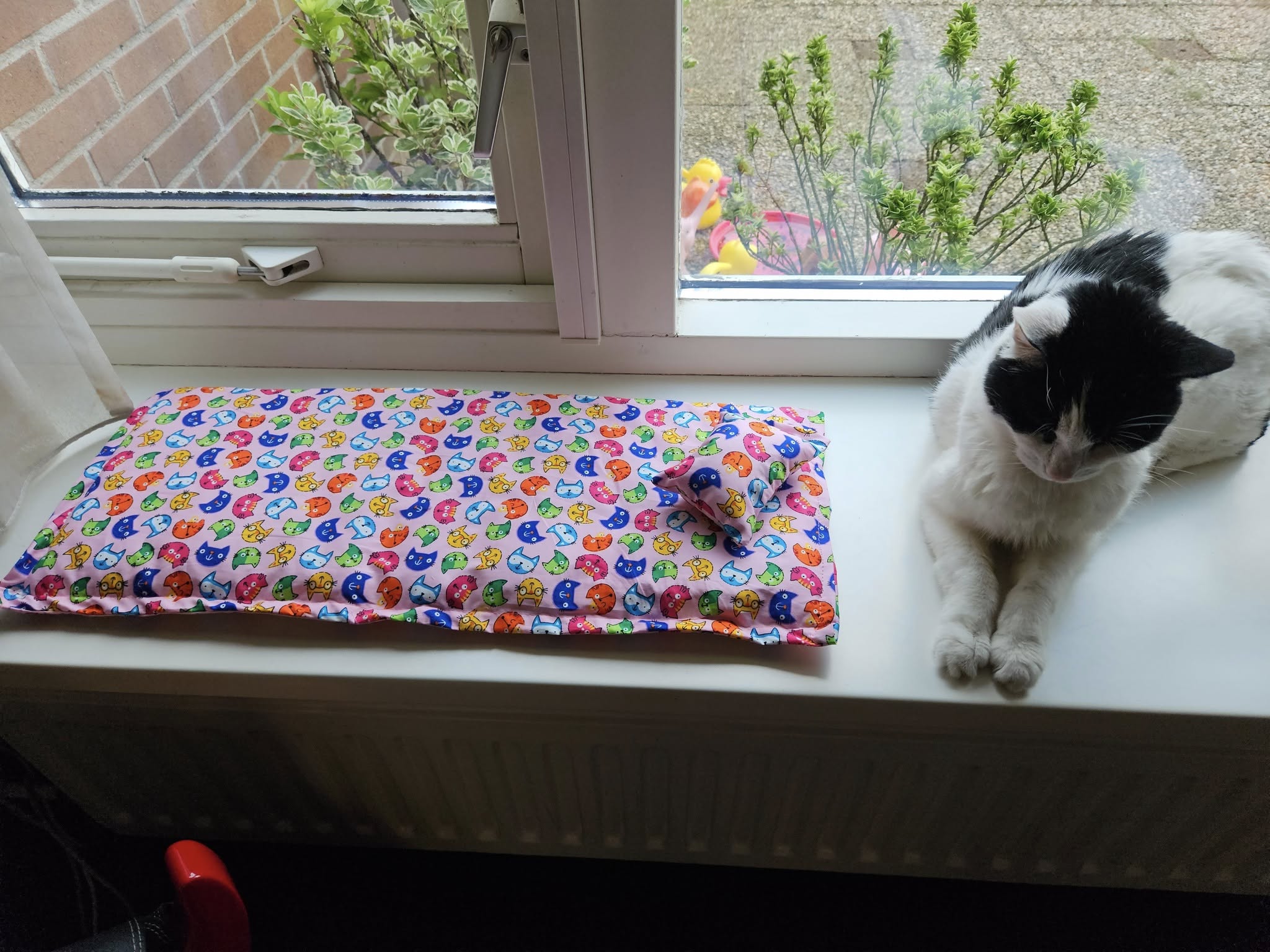 Vensterbankkussen Vrolijke kat 26x60 + bijpassend snuffelzakje (gevuld met catnip én valeriaan)