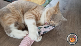 Snuffelzakje Gym Bella (gevuld met catnip én valeriaan)