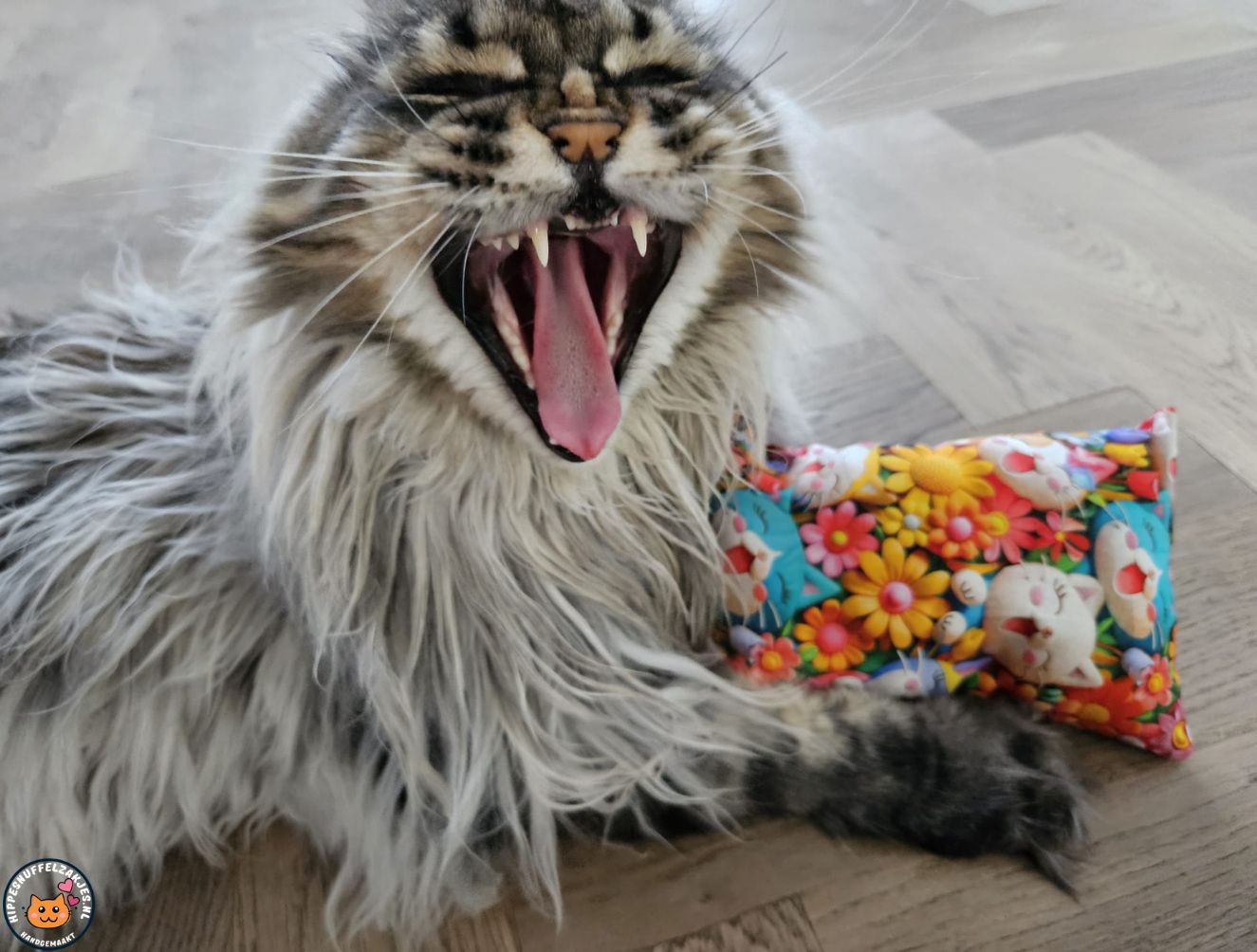 GROOT KATTENSPEELGOED-Slaap/speelkussen Happycats (gevuld met geurexplosie)