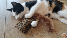 NIEUW/ Snuffelzakje  Wild animals met staart (gevuld met catnip én valeriaan)