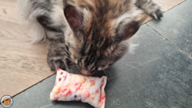 Snuffelzakje Lovely (gevuld met matatabi & catnip)