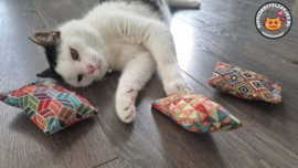 EXTRA STEVIGE STOF/ 3 delige Kadopakket snuffelzakjes Ibiza(gevuld met catnip, valeriaan en matatabi)