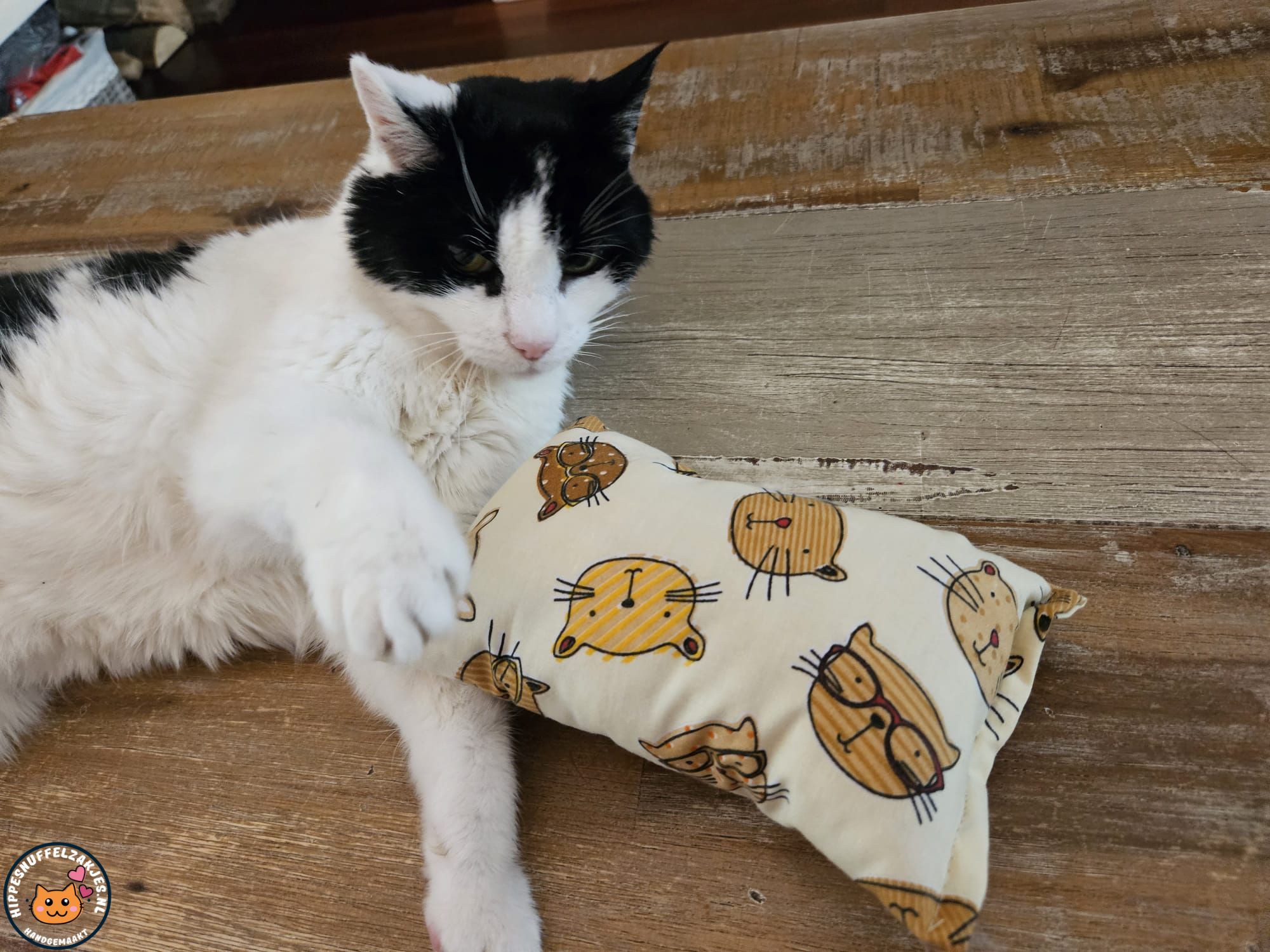 Slaap/speelkussen Kat (gevuld met catnip én valeriaan)