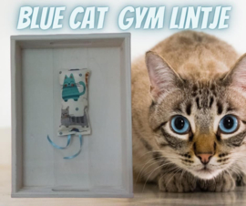 Snuffelzakje gym Blue Cat lintjes (gevuld met catnip én valeriaan)