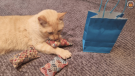 EXTRA STEVIGE STOF/ 3 delige Kadopakket snuffelzakjes Ibiza(gevuld met catnip, valeriaan en matatabi)