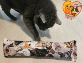 STUNTAANBIEDING MAANDAG Snuffelzak Gym XXL  Knappe kat (gevuld met catnip)