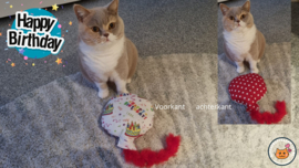 Snuffelballon Happy Birthday met staart, belletjes knisper (gevuld met catnip én valeriaan)