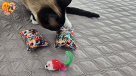 ❤️ MEEST VERKOCHT | Verrassingsset voor Katten 2 Snuffelzakjes + Cadeautje | Geurexplosie Editie
