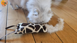 WILD ANIMALS 💙 All-in-One Snuffelzakje – Geurexplosie | Lintjes, Staart, Knisper & Belletje