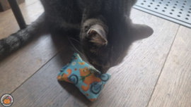 NIEUW/ Snuffelzakje Lieve Daisy(gevuld met matatabi en catnip)