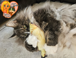 Snuffelvis (gevuld met geperst catnip)