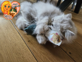Snuffelzakje Gym – speciaal voor oudere katten (gevuld met catnip en valeriaan)