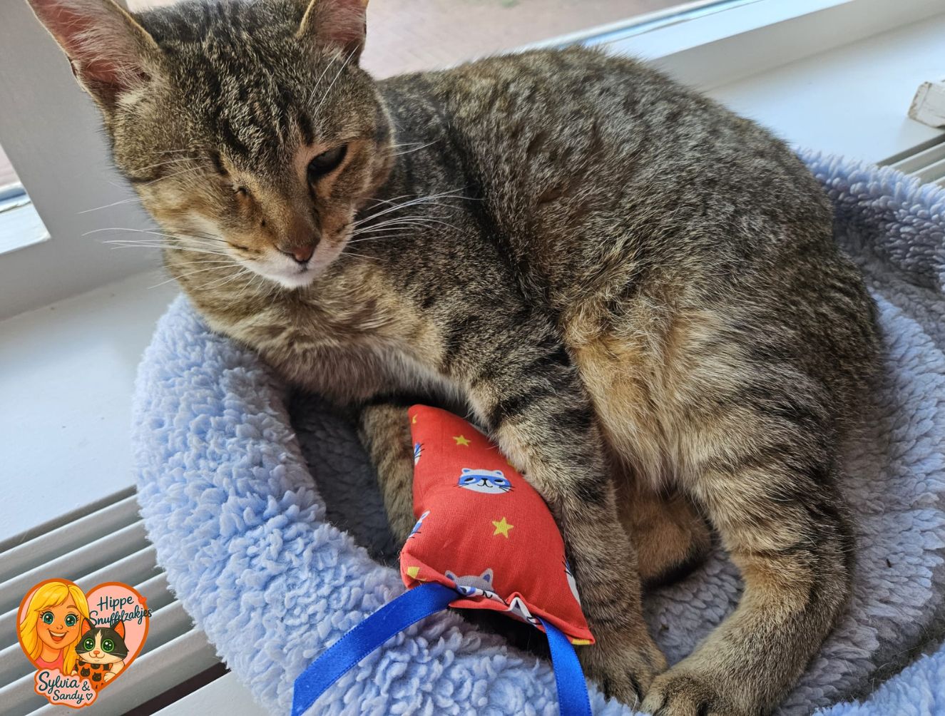 NIEUW/ Snuffelzakje Supercat met blauwe lintjes (gevuld met geurexplosie)