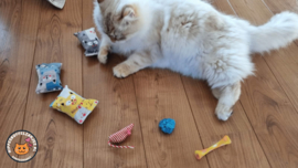 3 Snuffelzakjes Poekie Verrassing + 3 cadeautjes (gevuld met mix van catnip én valeriaan )