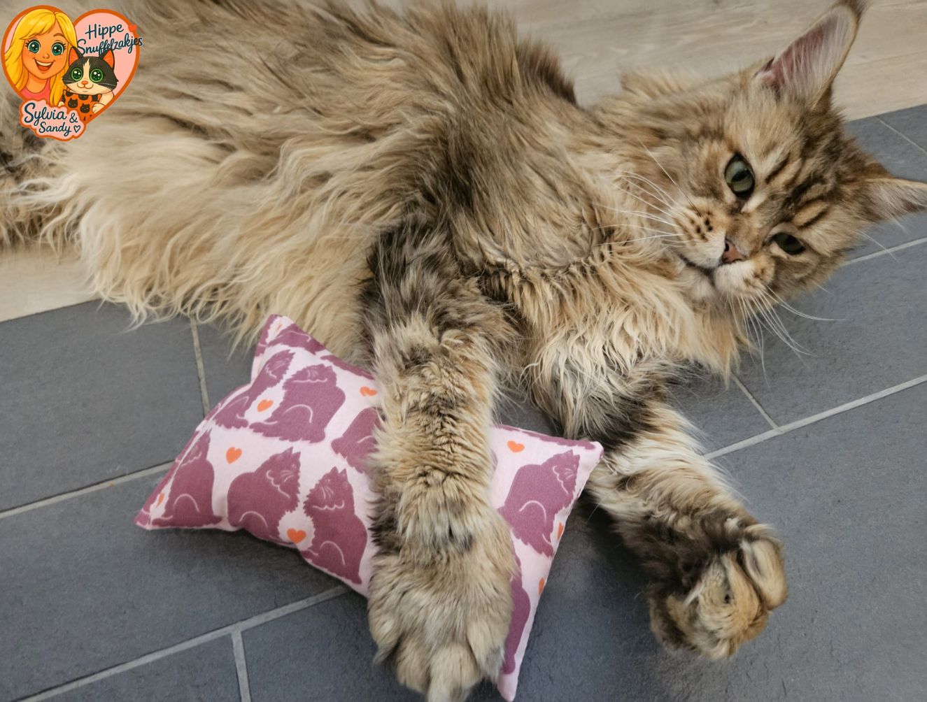 NIEUW/ Slaap/speelkussen Verliefde katten (gevuld met matatabi)