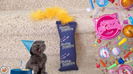 7 delige Mystery bag Happy Birthday Ultieme Experience (vijf verschillende geuren, knisper, belletje, staart en lintjes)