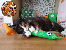 AANBIEDING🧡⚽️ WK Voetbal Mystery Bag voor katten 😻