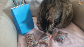 EXTRA STEVIGE STOF/ 3 delige Kadopakket snuffelzakjes Ibiza(gevuld met catnip, valeriaan en matatabi)