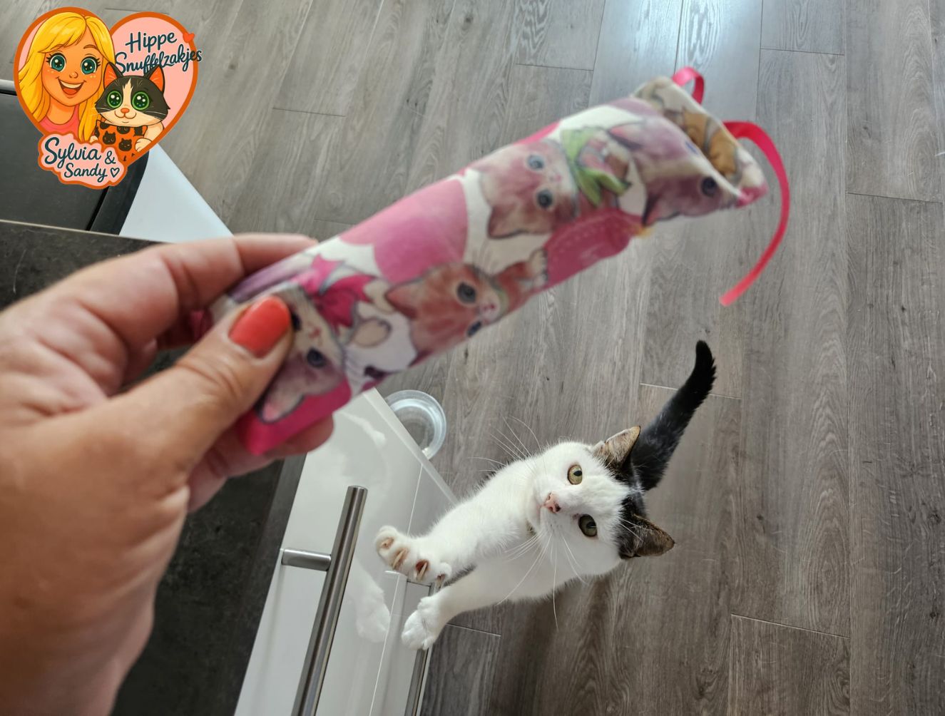 Snuffelzakje gym Lief poesje roze met lintjes (gevuld met valeriaan)