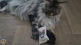 Snuffelzakje Extra stevige stof (gevuld met geurexplosie)