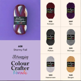 Scheepjes Colour Crafter Parade 608 Stormy Fall