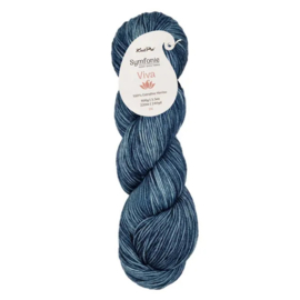 Symfonie Viva Variegated - VR1048 Daydream