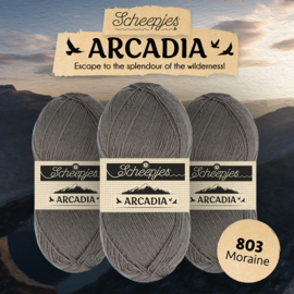 Scheepjes Arcadia Solid 803 - Moraine