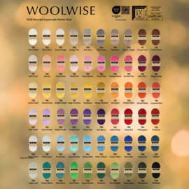 Scheepjes Pattern portfolio Woolwise