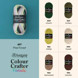 Scheepjes Colour Crafter Parade 607 Pine Forest
