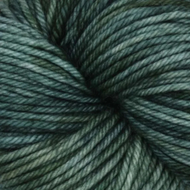 Symfonie Bella Variegated - VR4034 Willow