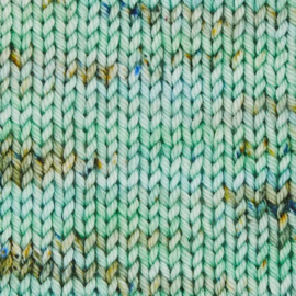 Symfonie Bella variegated - VR4013 Mint Sky