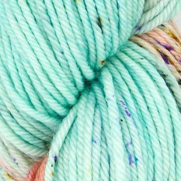 Symfonie Bella variegated - VR4012 Bonnie Blooms