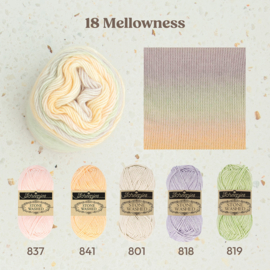 Scheepjes Stone Washed Flow 18 Mellowness
