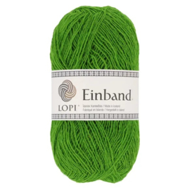 Einband 1764 Groen