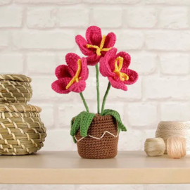 DMC Amigurumikit bloemen haken - Bloempot