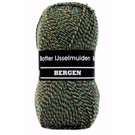 Botter IJsselmuiden Bergen 185 - Groen, Paars, Beige