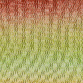 Scheepjes Stone Washed Flow 10 Harmonia