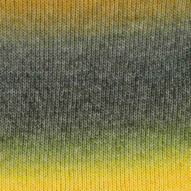 Scheepjes Stone Washed Flow 16 Haze