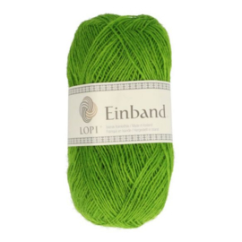 Einband - 1764 Groen