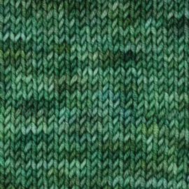 Symfonie Viva Variegated - VR1049 Fernfall
