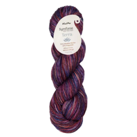 Symfonie Terra Variegated - VR2096 Midnight Orchid