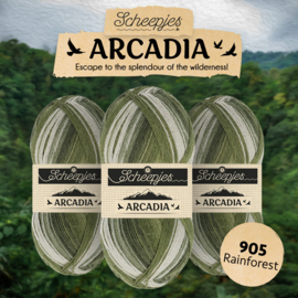 Scheepjes Arcadia Striped 905 - Rainforest