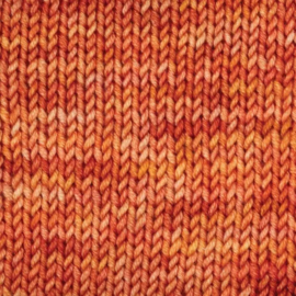 Symfonie Viva Variegated - VR1039 Apricot