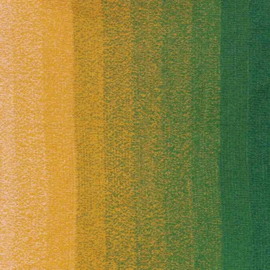 Scheepjes Cotton Whirl 732 Colour Me Crafty