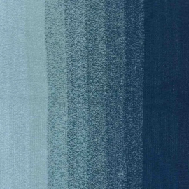 Scheepjes Cotton Whirl 731 Blueberry Swirl