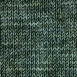 Symfonie Viva Variegated - VR1041 Willow