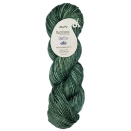 Symfonie Bella Variegated - VR4034 Willow