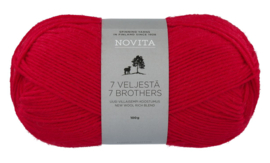 Novita 7 Brothers Veljestä 549 - Christmas